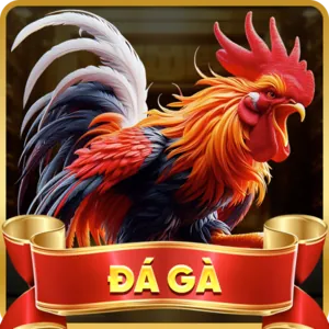 Mẹo chơi Baccarat hiệu quả tại helo888 code